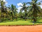 Land for sale in Nikawaratiya - Vithikuliya