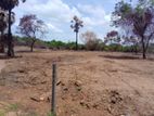 Land for Sale in Nilaveli, Trincomalee