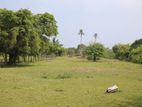 Land for Sale in Nilawelli