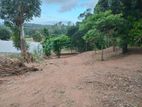 Land for Sale in Nilella Keppetipola