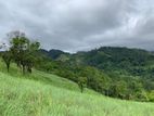 Land for Sale in Nillaba Peradeniya