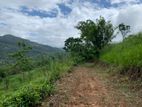 Land for Sale in Nillaba.Kandy