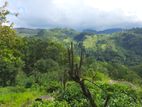 Land for sale in Nillamba