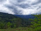 Land for Sale in Nillamba