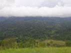 Land for Sale in Nillamba