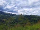 Land for sale in Nillamba