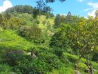Land for Sale in Nillamba