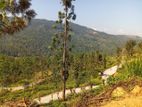 Land for Sale in Nillamba