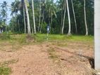 Land for Sale in Nilpanagoda