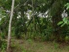 Land for Sale in Nilpanagoda