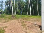 land for sale in nilpanagoda