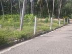 Land for Sale in Nittabuwa Facing Paddy Field