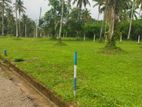 Land for Sale in Nittabuwa