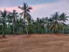 Land for Sale in Nittabuwa