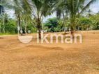 Land for Sale in Nittabuwa