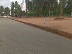 Land for sale in Nittabuwa Horagolla