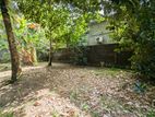 Land for sale in Nittabuwa Wathupitiwala