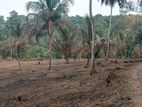 Land for Sale in Nittabuwa,(Near Thihariya Junction)