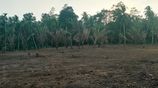 Land for Sale in Nittabuwa,(Near Thihariya Junction)