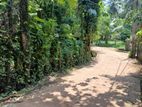 Land for Sale in Nittambuwa 38P