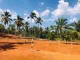 Land for Sale in Nittambuwa Aththanagalla M06
