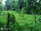 Land For Sale In Nittambuwa