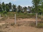 Land For Sale In Nittambuwa