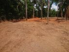 Land For Sale in Nittambuwa