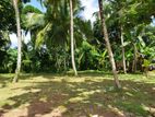 Land For Sale In Nittambuwa