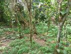 Land for Sale in Nittambuwa