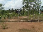 Land for Sale in Nittambuwa