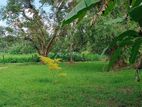 Land for Sale in Nittambuwa