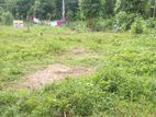 Land For Sale In Nittambuwa