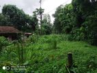 Land For Sale In Nittambuwa