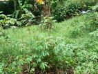 Land for Sale in Nittambuwa