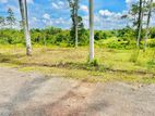 Land For Sale In Nittambuwa