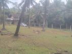 Land for Sale in Nittambuwa