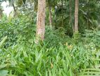Land for Sale in Nittambuwa