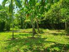 Land for Sale in Nittambuwa