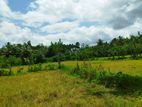 Land for sale in Nittambuwa