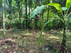 Land for Sale in Nittambuwa