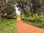 Land for Sale in Nittambuwa