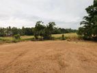 Land for Sale in Nittambuwa