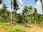 Land for Sale in Nittambuwa