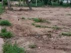 Land for sale in nittambuwa