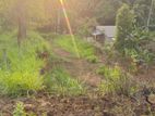 Land for Sale in Nittambuwa