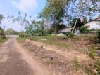 Land for Sale in Nittambuwa