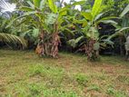 Land for sale in Nittambuwa