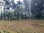 Land for sale in Nittambuwa