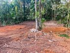 Land for Sale in Nittambuwa